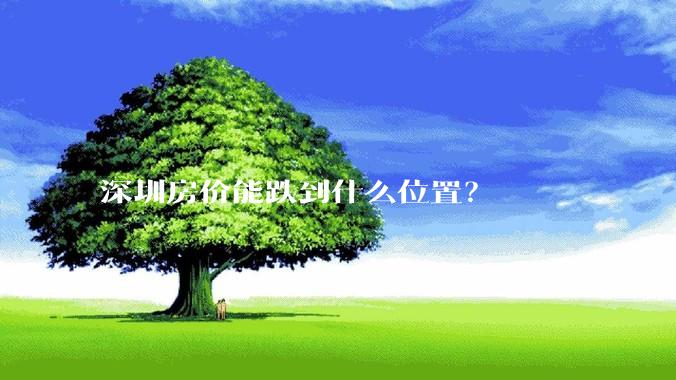 深圳房价能跌到什么位置？