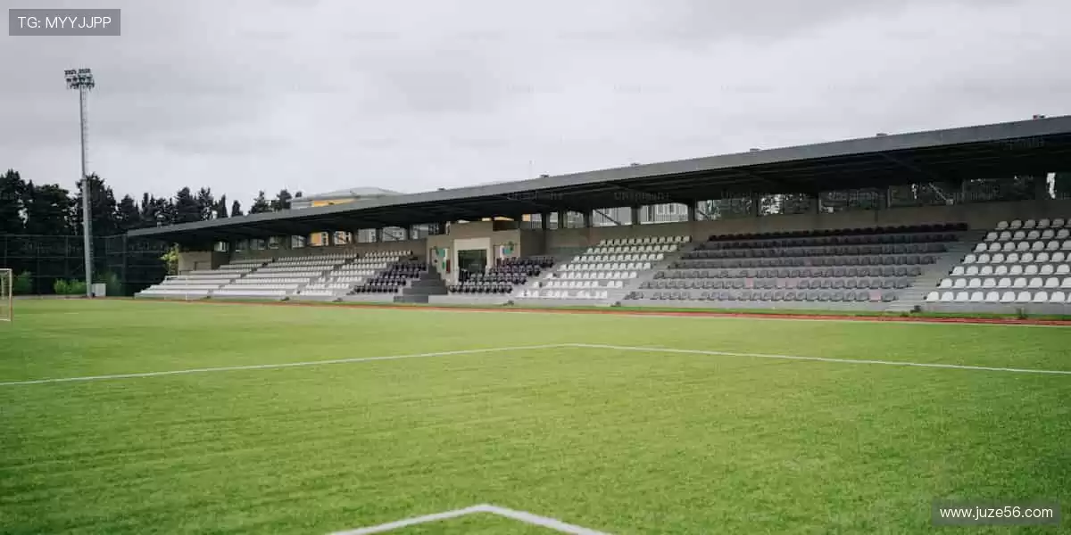 📺一键直击，全球赛事高清畅享！